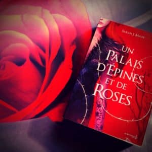 Chronique : Un Palais d’épines et de roses de Sarah. J. Maas